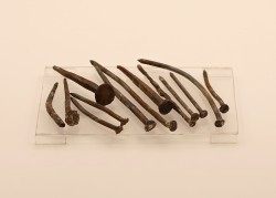 Гвозди металлические (13 предметов). 1920-1930-е гг. 